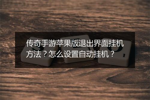 传奇手游苹果版退出界面挂机方法？怎么设置自动挂机？