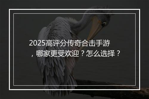 2025高评分传奇合击手游，哪家更受欢迎？怎么选择？
