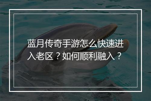 蓝月传奇手游怎么快速进入老区？如何顺利融入？