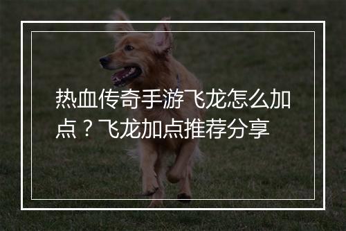 热血传奇手游飞龙怎么加点？飞龙加点推荐分享