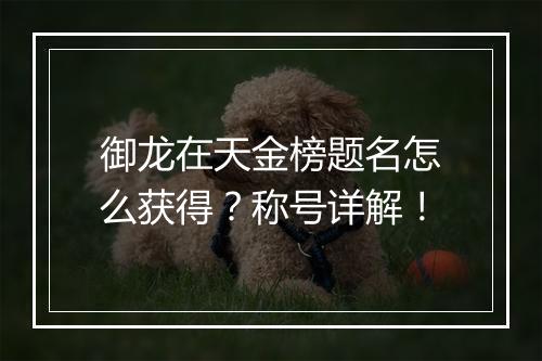 御龙在天金榜题名怎么获得？称号详解！