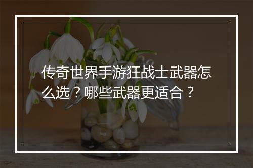 传奇世界手游狂战士武器怎么选？哪些武器更适合？