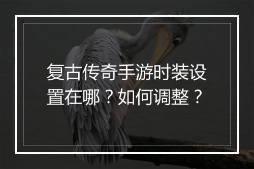 复古传奇手游时装设置在哪？如何调整？