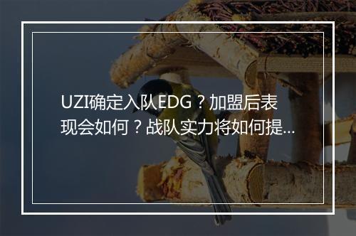 UZI确定入队EDG？加盟后表现会如何？战队实力将如何提升？