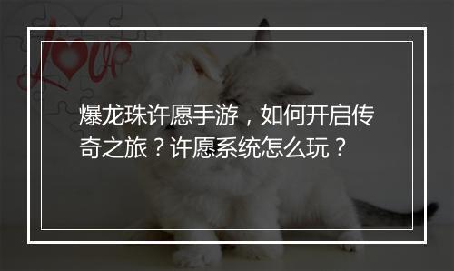 爆龙珠许愿手游，如何开启传奇之旅？许愿系统怎么玩？