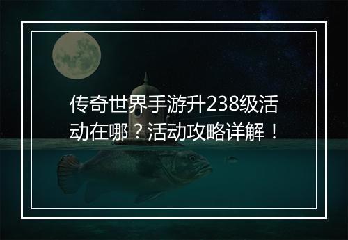 传奇世界手游升238级活动在哪？活动攻略详解！