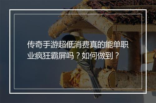 传奇手游超低消费真的能单职业疯狂霸屏吗？如何做到？
