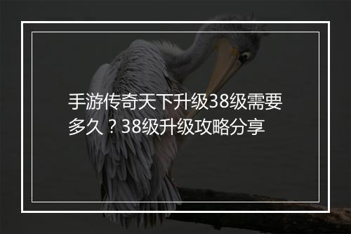 手游传奇天下升级38级需要多久？38级升级攻略分享
