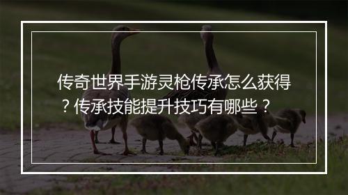 传奇世界手游灵枪传承怎么获得？传承技能提升技巧有哪些？
