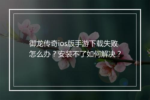 御龙传奇ios版手游下载失败怎么办？安装不了如何解决？
