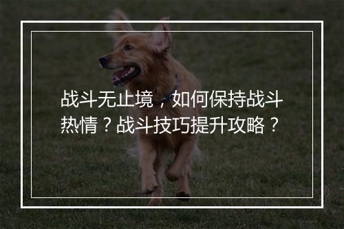战斗无止境，如何保持战斗热情？战斗技巧提升攻略？