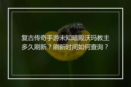 复古传奇手游未知暗殿沃玛教主多久刷新？刷新时间如何查询？