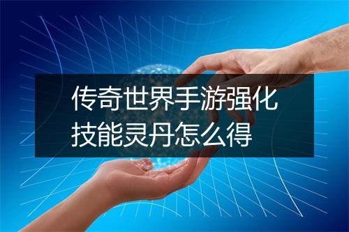 传奇世界手游强化技能灵丹怎么得
