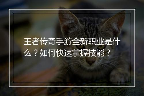 王者传奇手游全新职业是什么？如何快速掌握技能？