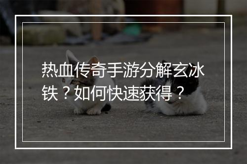 热血传奇手游分解玄冰铁？如何快速获得？