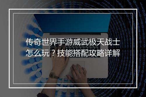传奇世界手游威武极天战士怎么玩？技能搭配攻略详解