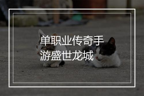 单职业传奇手游盛世龙城