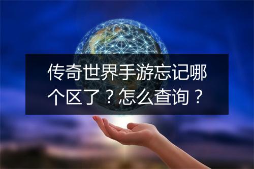 传奇世界手游忘记哪个区了？怎么查询？