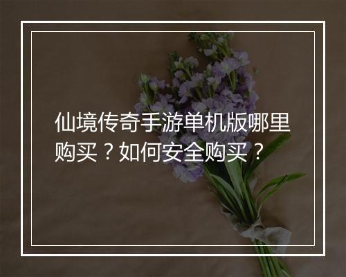 仙境传奇手游单机版哪里购买？如何安全购买？
