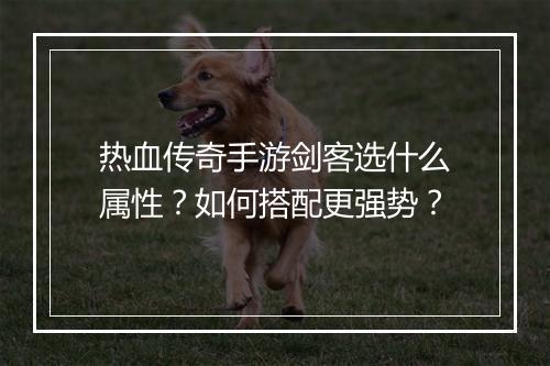 热血传奇手游剑客选什么属性？如何搭配更强势？