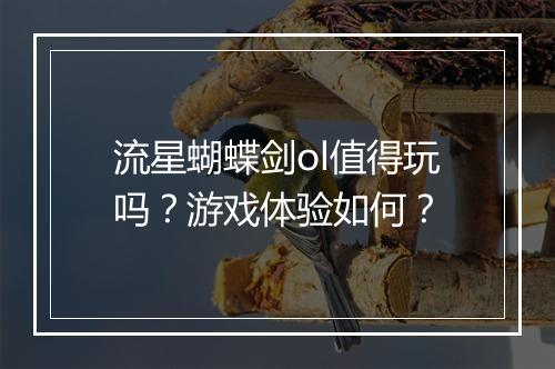 流星蝴蝶剑ol值得玩吗？游戏体验如何？