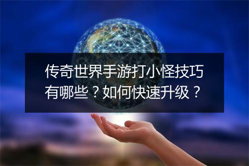 传奇世界手游打小怪技巧有哪些？如何快速升级？