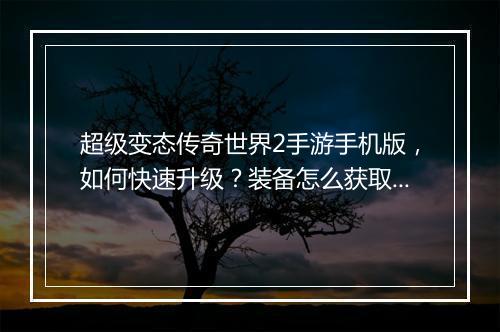 超级变态传奇世界2手游手机版，如何快速升级？装备怎么获取？