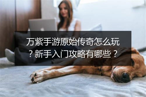 万紫手游原始传奇怎么玩？新手入门攻略有哪些？