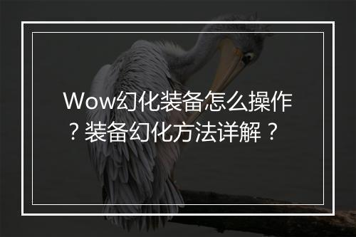 Wow幻化装备怎么操作？装备幻化方法详解？