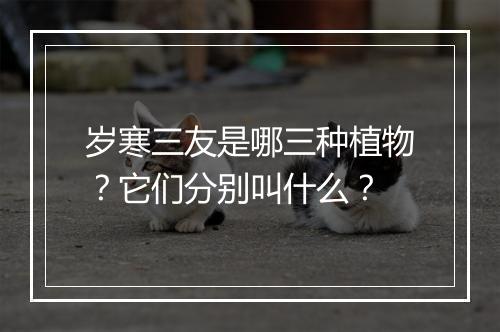 岁寒三友是哪三种植物？它们分别叫什么？