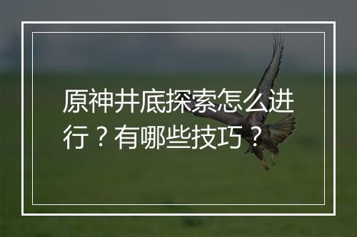 原神井底探索怎么进行？有哪些技巧？