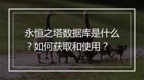 永恒之塔数据库是什么？如何获取和使用？