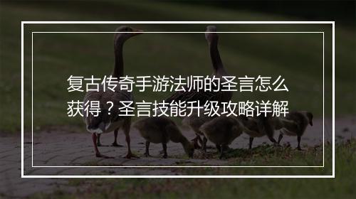 复古传奇手游法师的圣言怎么获得？圣言技能升级攻略详解