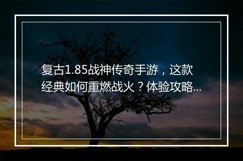 复古1.85战神传奇手游，这款经典如何重燃战火？体验攻略分享！