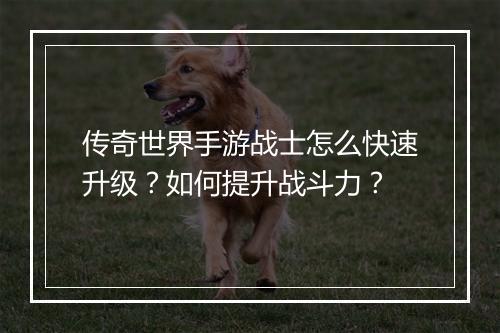 传奇世界手游战士怎么快速升级？如何提升战斗力？