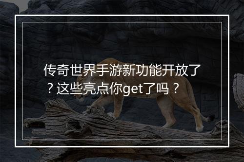 传奇世界手游新功能开放了？这些亮点你get了吗？