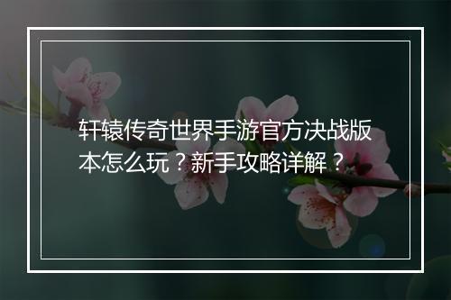 轩辕传奇世界手游官方决战版本怎么玩？新手攻略详解？