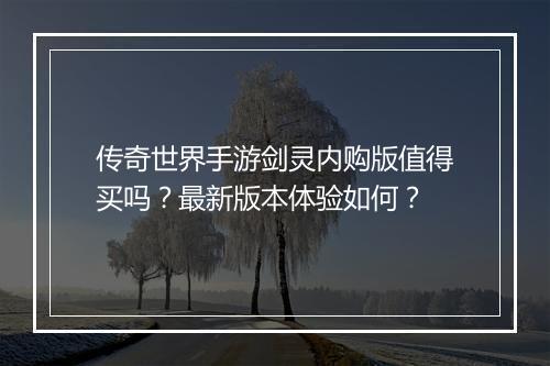 传奇世界手游剑灵内购版值得买吗？最新版本体验如何？