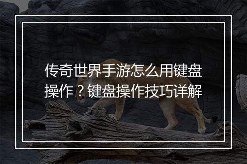 传奇世界手游怎么用键盘操作？键盘操作技巧详解