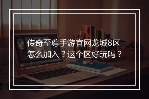 传奇至尊手游官网龙城8区怎么加入？这个区好玩吗？