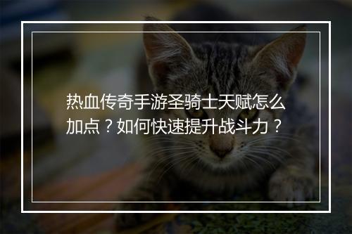 热血传奇手游圣骑士天赋怎么加点？如何快速提升战斗力？