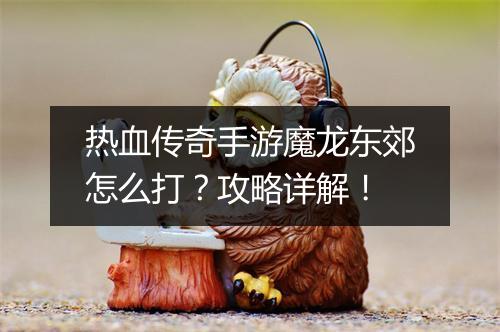 热血传奇手游魔龙东郊怎么打？攻略详解！