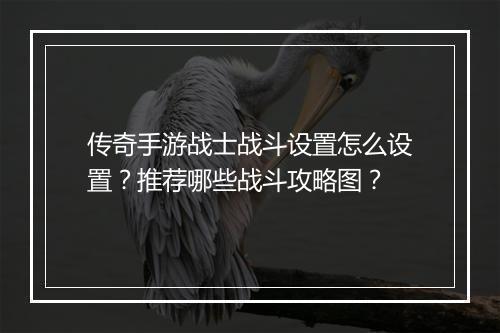 传奇手游战士战斗设置怎么设置？推荐哪些战斗攻略图？