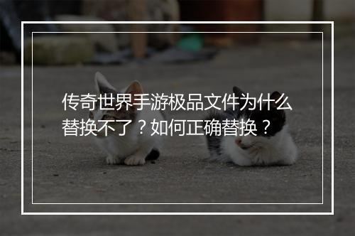 传奇世界手游极品文件为什么替换不了？如何正确替换？