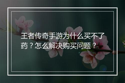 王者传奇手游为什么买不了药？怎么解决购买问题？