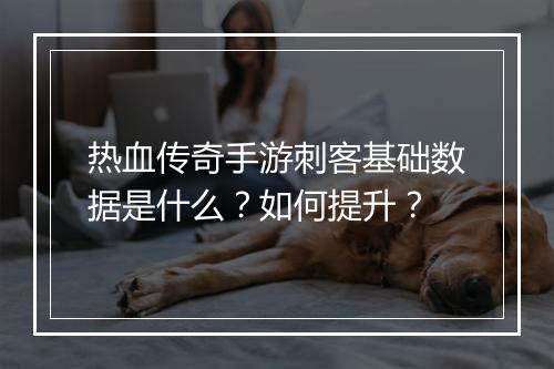 热血传奇手游刺客基础数据是什么？如何提升？