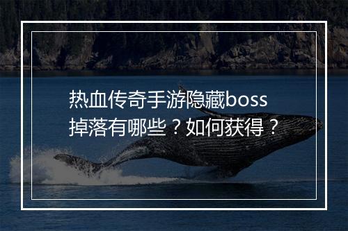 热血传奇手游隐藏boss掉落有哪些？如何获得？