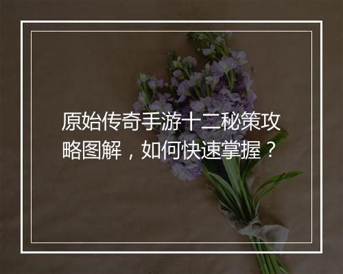 原始传奇手游十二秘策攻略图解，如何快速掌握？