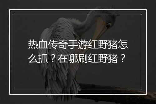 热血传奇手游红野猪怎么抓？在哪刷红野猪？