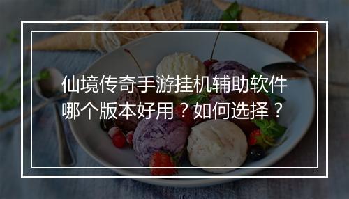 仙境传奇手游挂机辅助软件哪个版本好用？如何选择？